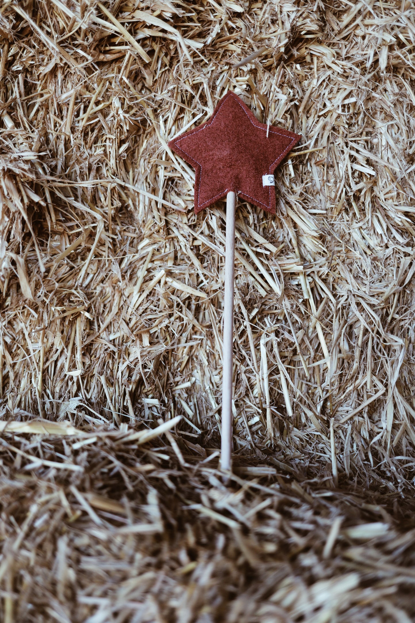 Zauberstab, Sternenstab, Feenstab